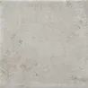 Opus Gris